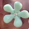 Island Flowers