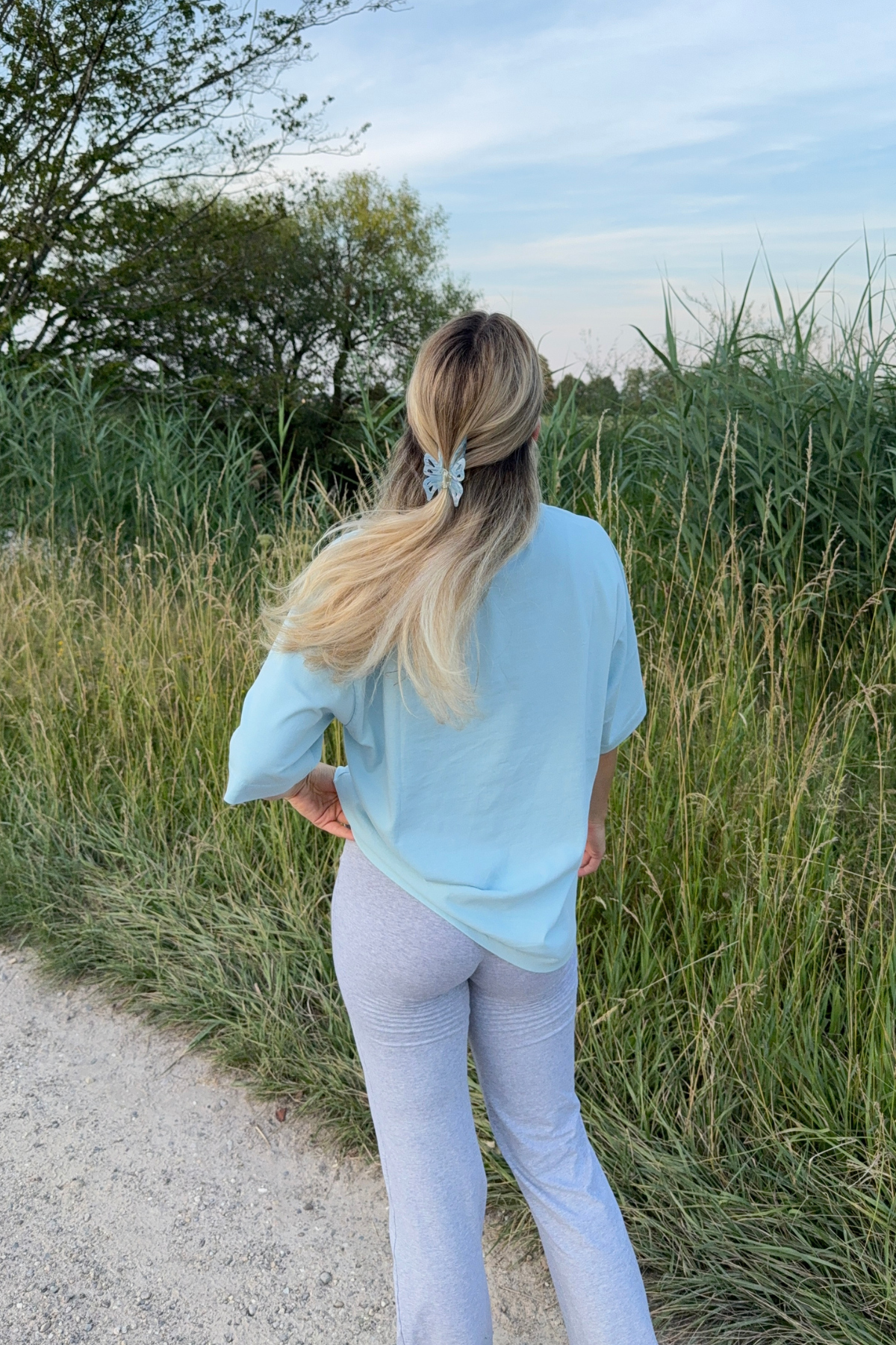 Butterfly Clip | Summer Field