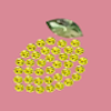 Lemons